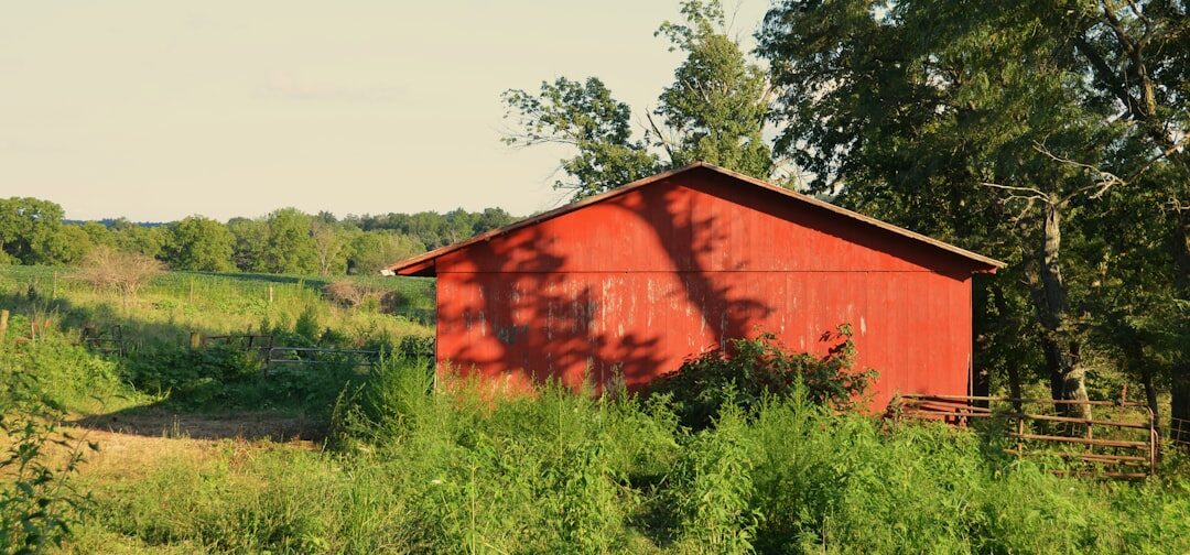 rural farm landscape