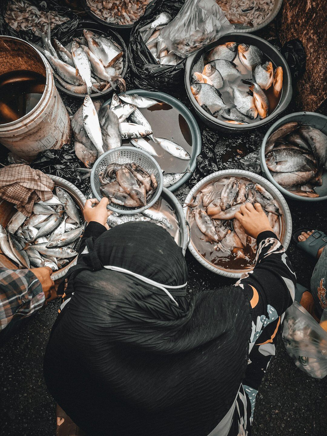 fisherman at market selling fish