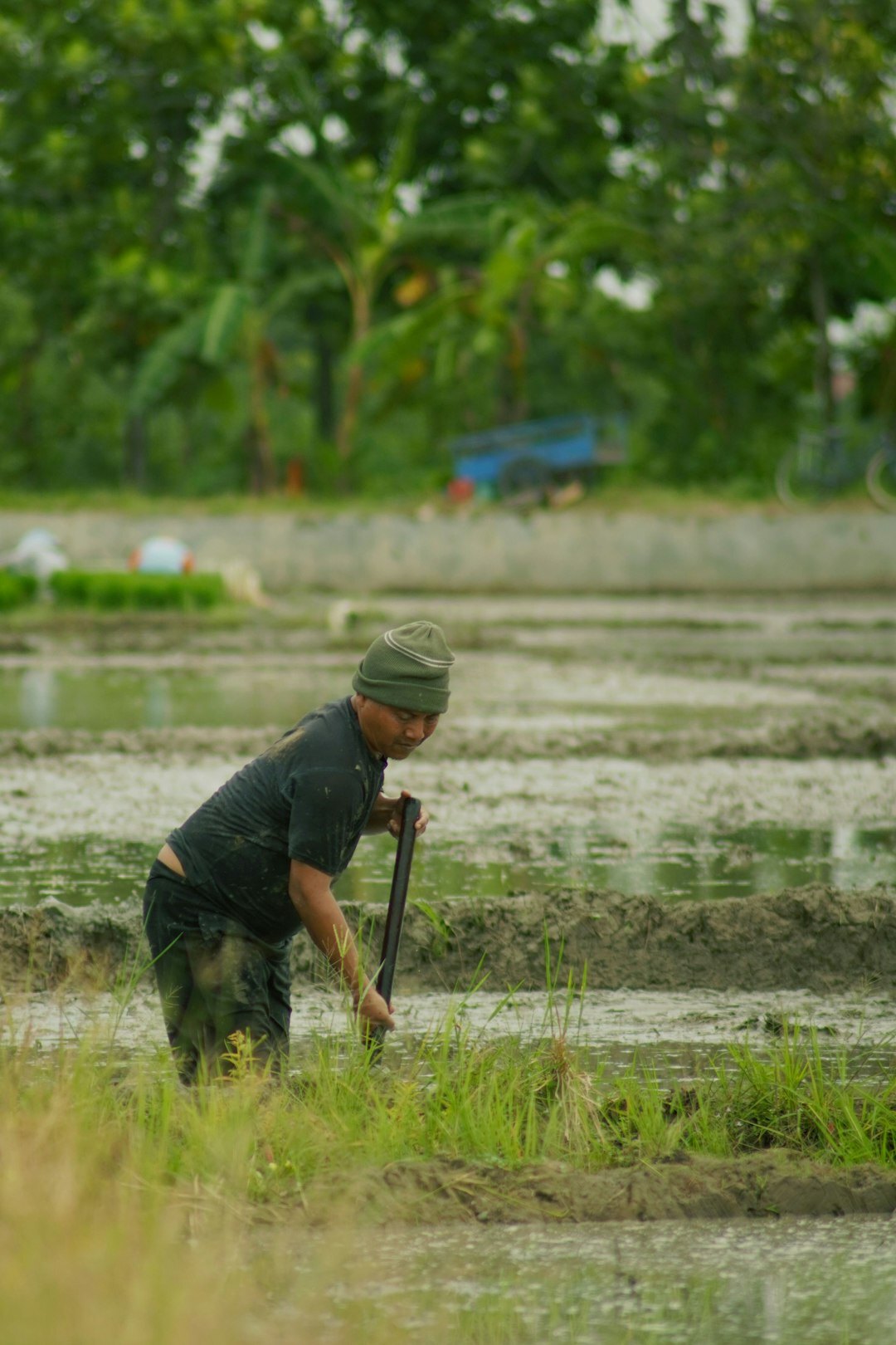young man working in field